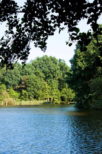 Café am Freibad Flötenteich - Café am Flötenteich in Oldenburg