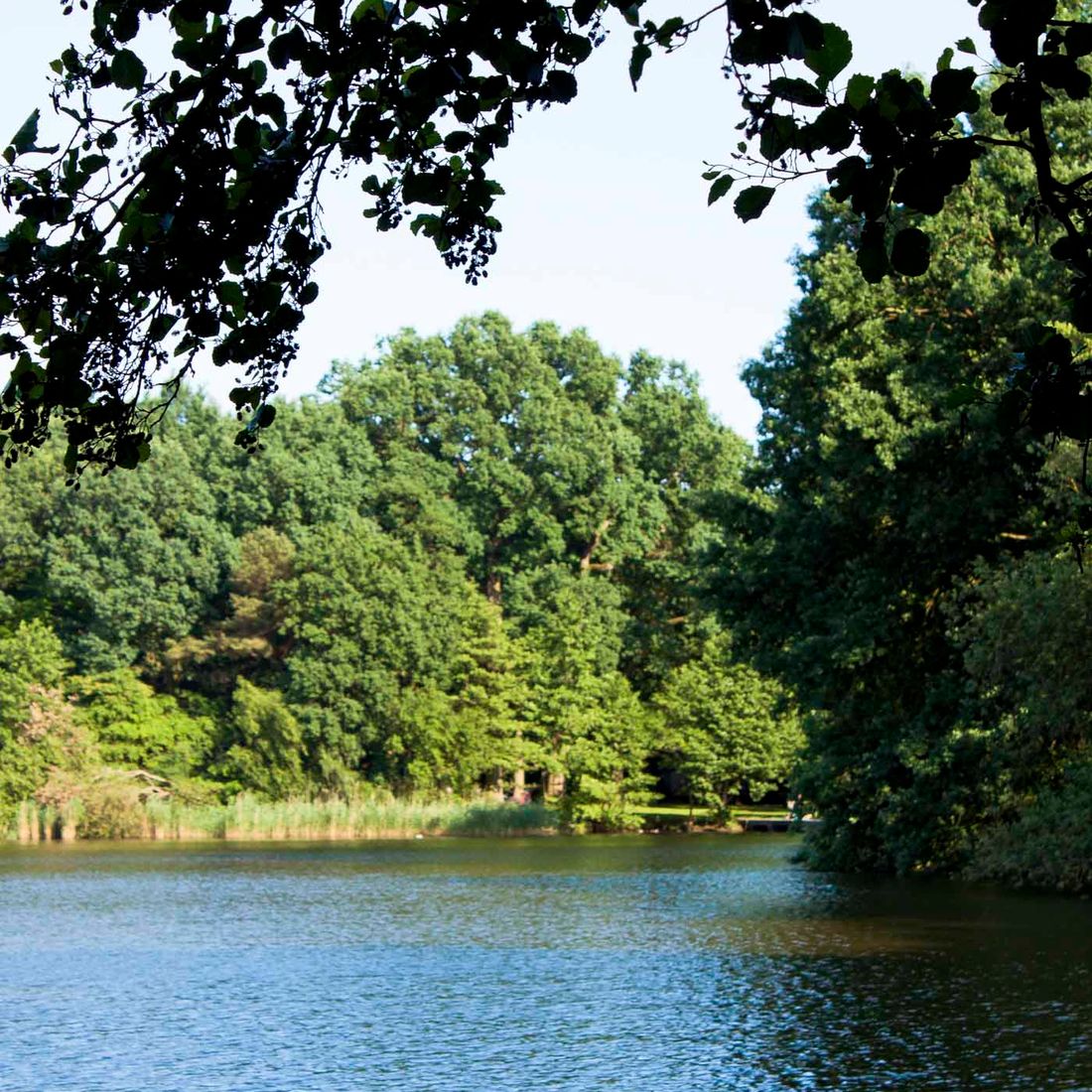Café am Freibad Flötenteich - Café am Flötenteich in Oldenburg